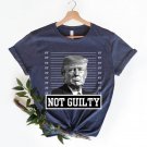 Free Trump Shirt, Trump Not Guilty Shirt, Pro America