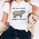 Idk How Much Longer I Can Slay Capybara Shirt Weirdcore Shirts That Go Hard