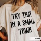 Jason Aldean Shirt, Try That In A Small Town Shirt, The Alde