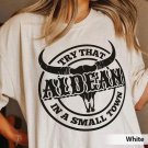 Jason Aldean Shirt, Try That In A Small Town Shirt, The Alde