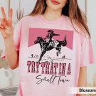 Jason Aldean Shirt, Try That In A Small Town Shirt, The Alde
