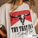 Jason Aldean Shirt, Try That In A Small Town Shirt, The Alde