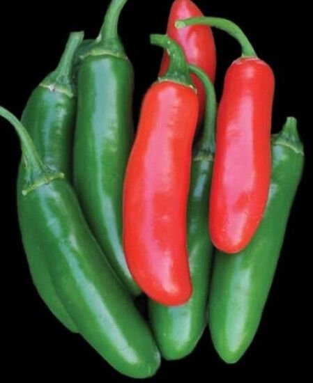 100 Serrano Tampiqueno Pepper Seeds, Heirloom Hot Pepper Seeds, Chili ...