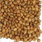 30 CAJANUS CAJAN pigeon pea gandules seed exotic edible beans rare gandul SEEDS 30 CAJANUS CAJAN pigeon pea gandules seed exotic edible beans rare gandul SEEDS