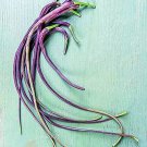 500+ Dragon's Tail Radish Seeds for Garden Planting USA - Edible Pods - Free Shipping