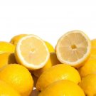 5+ Fino Citron Lemon Seeds for Garden Planting in Pots or Yards - USA - FREE SHIPPING