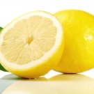 5+ Gossamer Lemon Glow Seeds for Garden Planting with Soft Yellow Blooms - USA - FREE SHIPPING