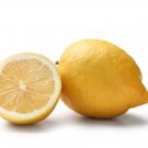 5+ Interdonato Messina Lemon Seeds for Garden Planting in Pots or Yards - USA - FREE SHIPPING