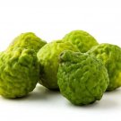 5+ Khasi Papeda Lemon Seeds for Garden Planting in Containers or Landscapes - USA - FREE SHIPPING