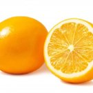 5+ Meyer Lemon Seeds for Garden Planting in Containers or Yards - USA - FREE SHIPPING