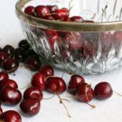 10+ Sunburst Cherry Seeds for Garden Planting in Pots or Backyard Orchards - USA - FREE SHIPPING