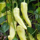 30+ Sweet Banana Pepper Seeds for Home Gardens and Mild Summer Harvests - USA