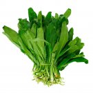200+ Cilantro Coriander Culantro Seeds for Herb Gardens - Fresh Harvest - USA Seller