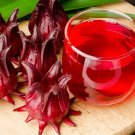 25+ Roselle Seeds for Asian Sour Leaf Red Sorrel Florida Cranberry Jamaican Tea - USA