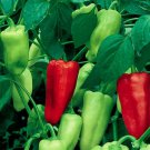 30+ Sweet Pepperoncini Pepper Seeds for Home Gardens – Mild Pickling Peppers for USA Growers