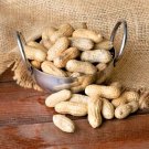 50 Tennessee Red Peanut Seeds Shelled – Fresh USA-Grown Crop for Garden Planting + Bonus Seeds