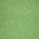 Santee Blender Lime Green Marbled Mottled Cotton Quilt Fabric 5/8 Yard
