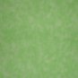 Santee Blender Lime Green Marbled Mottled Cotton Quilt Fabric 5/8 Yard