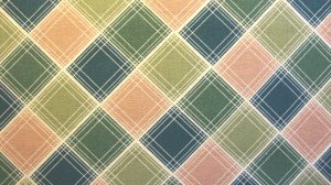 F8 Thimbleberries Daisy Days Green Pink Plaid RJR Lynette Jensen Quilt Fabric Fat Eighth F8th