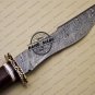 Fixed Blade Damascus Bowie Knife Custom Handmade Damascus Steel Hunting Bowie Knife + Corain & Stag