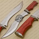 Rody Stan Beautiful Custom Handmade Stainless Steel Hunting Bowie Knife With Wood Handle