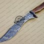 Damascus Bowie Knife Custom Handmade Damascus Steel Hunting Knife With Colored Bone Handle