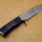 Personalized Beautiful Gift Hand Made Damascus Skinner Knife Skinner Knife Wood Handle Anniversary