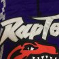 Vince Carter Men's Raptors Jersey Free shipping