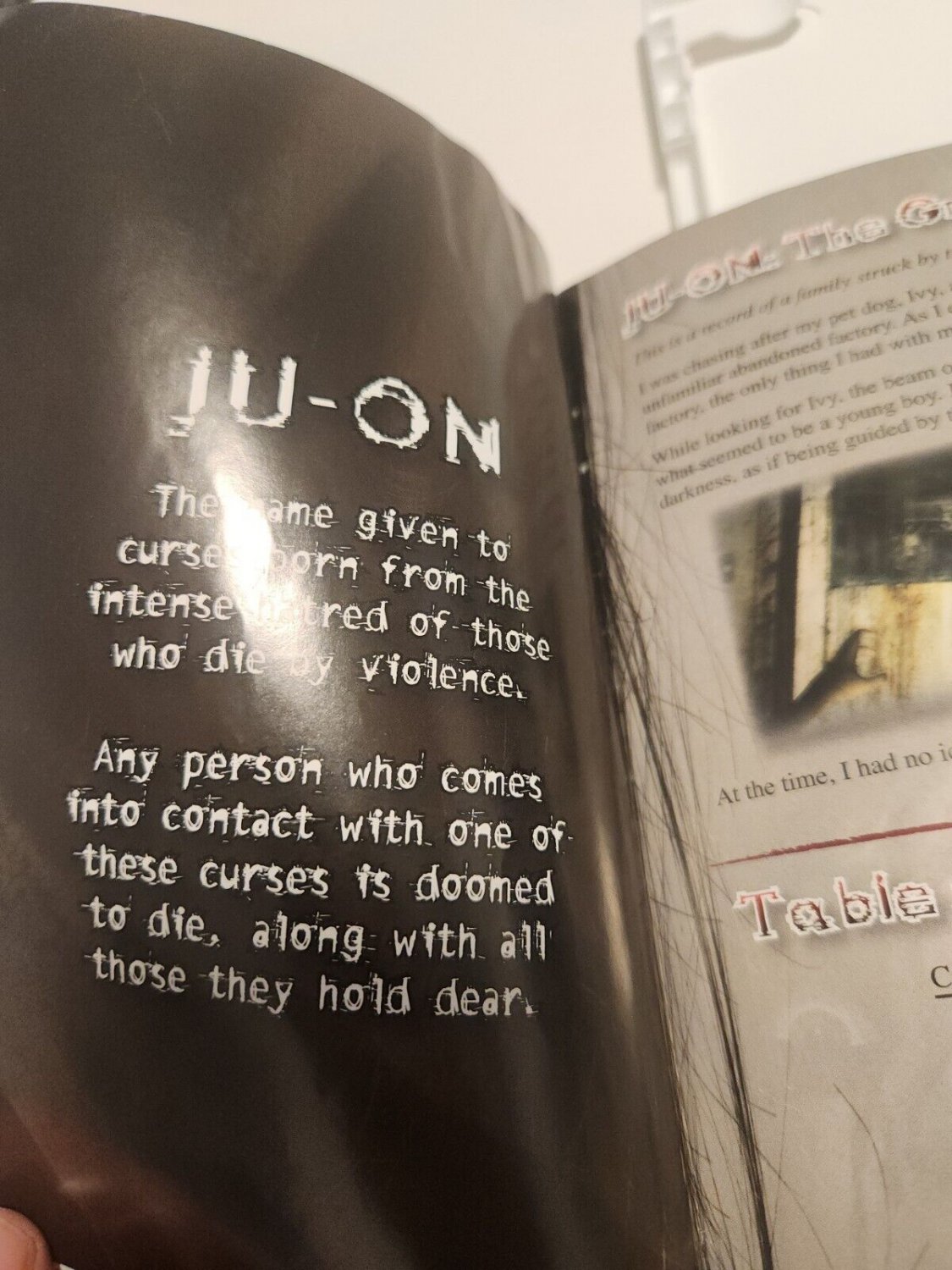 JUON The Grudge Haunted House Simulator (Nintendo Wii) horror game