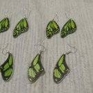 Green Butterfly Wing Earrings
