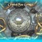 HARRY POTTER LOCKET/ NECKLACE/ Enchanted Jewelry/ Crystal Sea Grotto/ Spell Cast Gems(tm)
