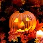 20cm Halloween Pumpkin Led Light For Halloween Decoration