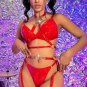 Frisky Flirt Strappy Garter 4 Piece Set
