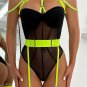 Harnessed Luxury Teddy