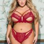 Sweetest Seduction Lace Bra Set