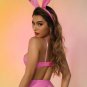 Seductress Bunny Costume