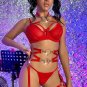 Want To Be Yours Strappy 3 Piece Garter Set