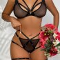 Harnessed in Lace Bra Set