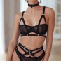 Many Temptations Lace Bra Set