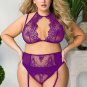 Plus Size Naughty Net Bra Set