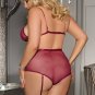 Plus Size Soft Velvet With A Sheer Mesh Trim Bra Set