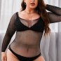 Plus Size Black Sheer Elegance Teddy