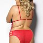 Plus Size Low Priority Sheer Teddy