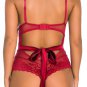 Stunner Net and Lace Teddy