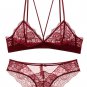 Sexy Sheer Lace Bra & Panty Set