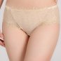Sheer Mesh Panel Floral Embroidered Panty