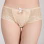 Sheer Floral Lace Panel Panty