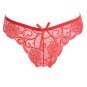 Full Lace Low Rise Colourful Panties