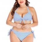 Plus Size Striped Bikini Set