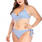 Plus Size Striped Bikini Set